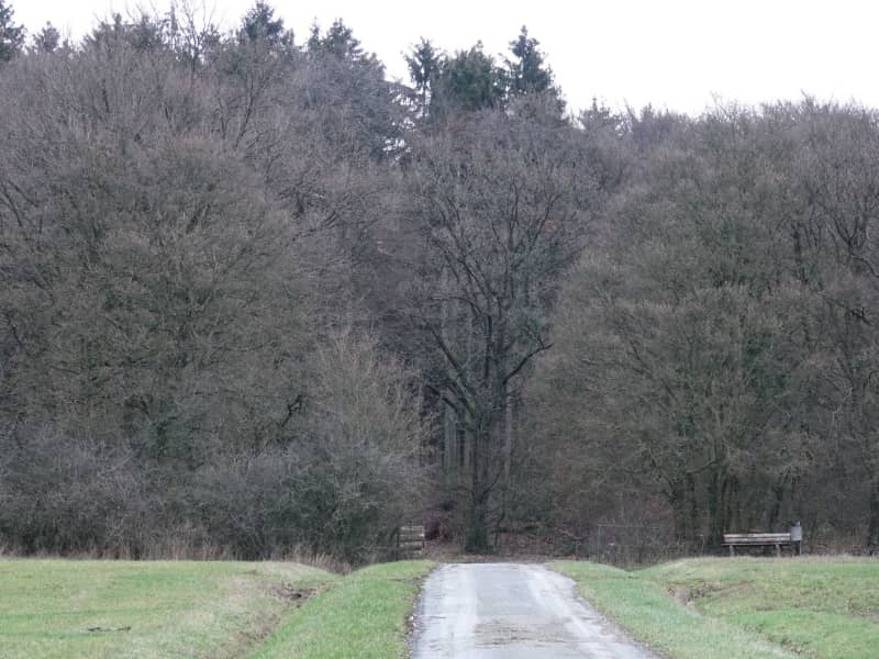 Housesitting assignment in Osnabrück, Germany