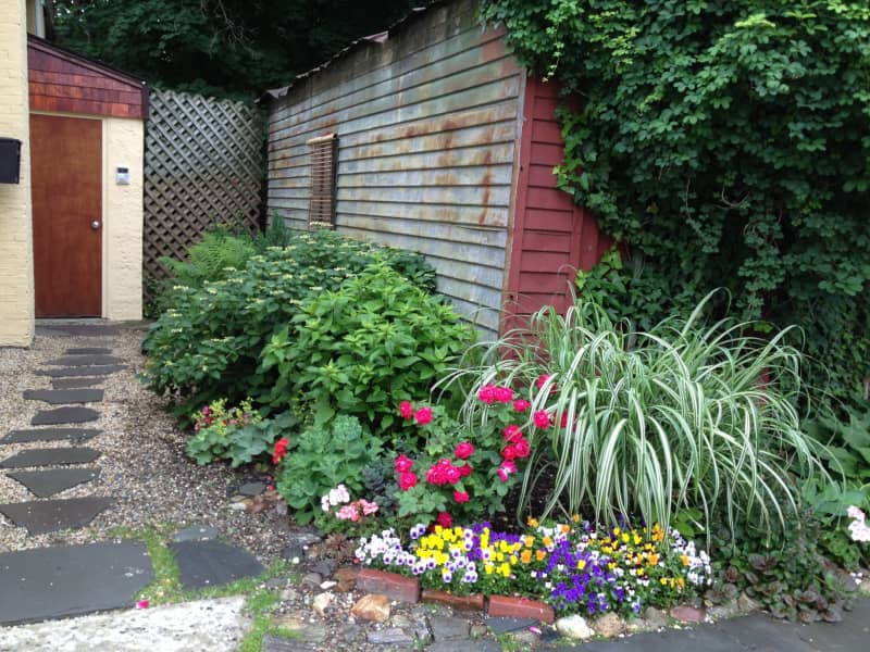 Carol & Jeffrey from New York City, New York, United States