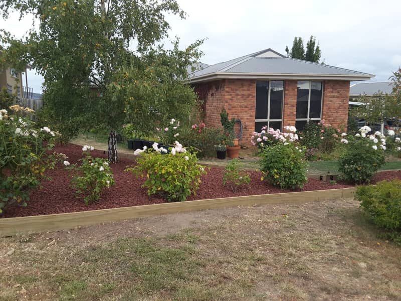 Housesitting assignment in Oakdowns, Tasmania, Australia