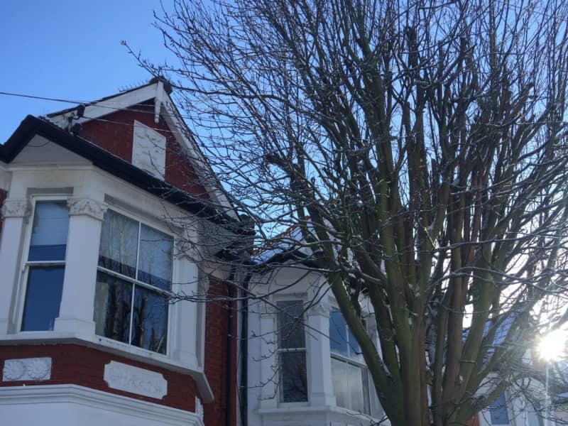 Housesitting assignment in Fulham, United Kingdom