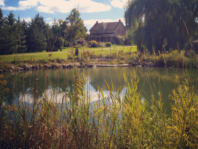 Housesitting assignment in Erin, Ontario, Canada
