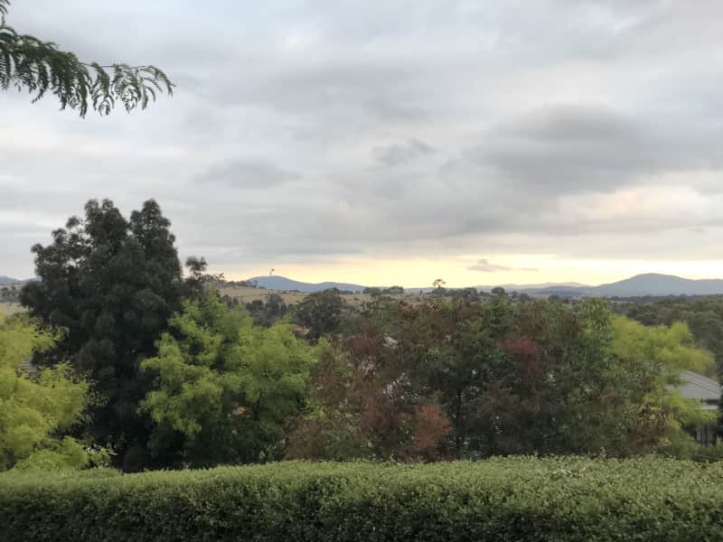 Housesitting assignment in Jerrabomberra, New South Wales, Australia