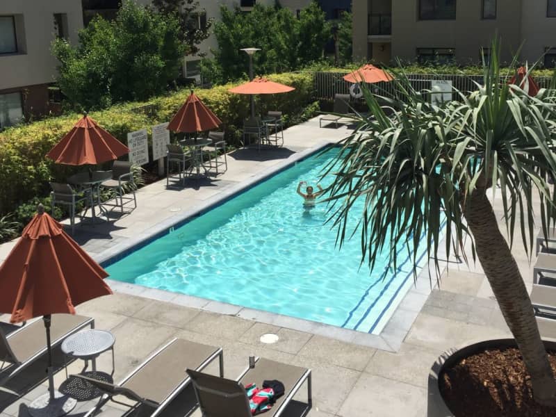 Housesitting assignment in Pasadena, California, United States