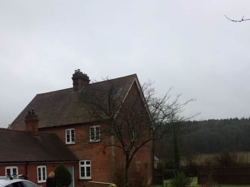Housesitting assignment in Rowlands Castle, United Kingdom