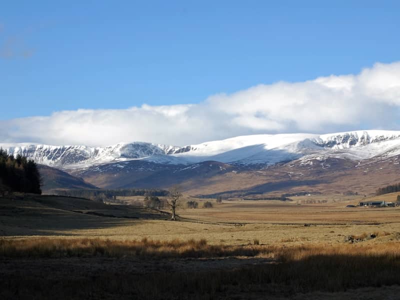 Housesitting assignment in Kirriemuir, United Kingdom