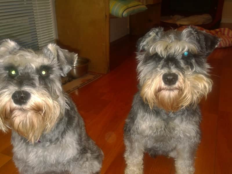 Simmone & Nick from Cambridge, New Zealand