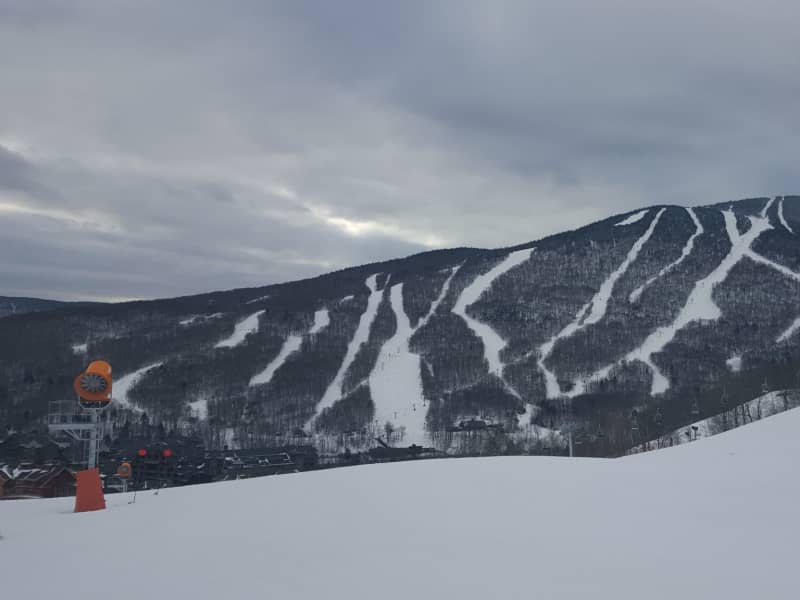 Housesitting assignment in Stowe, Vermont, United States