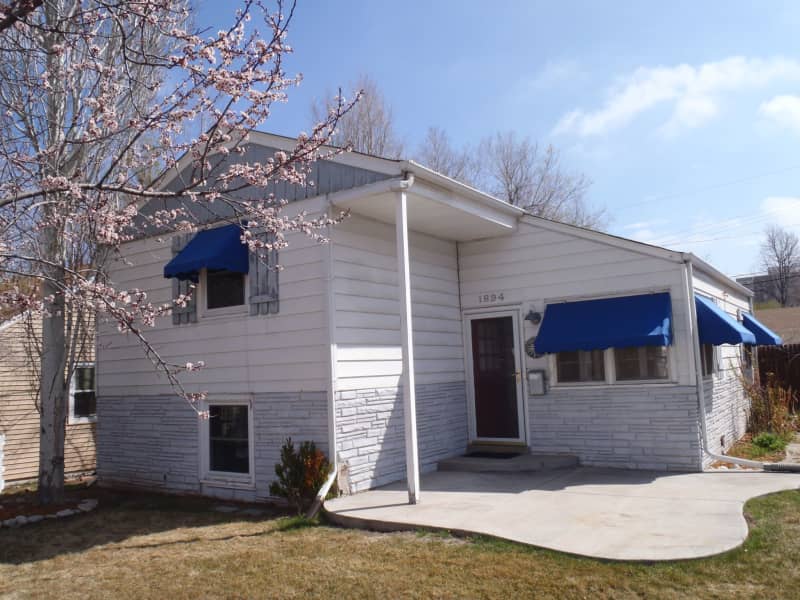 Housesitting assignment in Denver, Colorado, United States