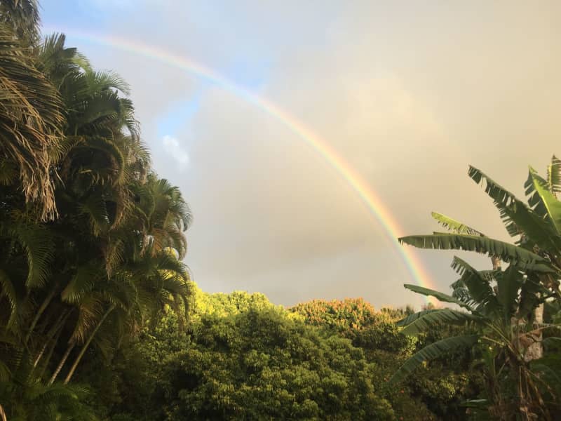 Housesitting assignment in Kīlauea, Hawaii, United States