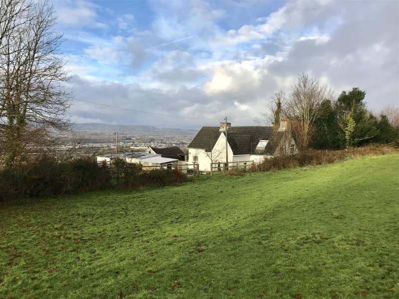 Housesitting assignment in Ammanford, United Kingdom