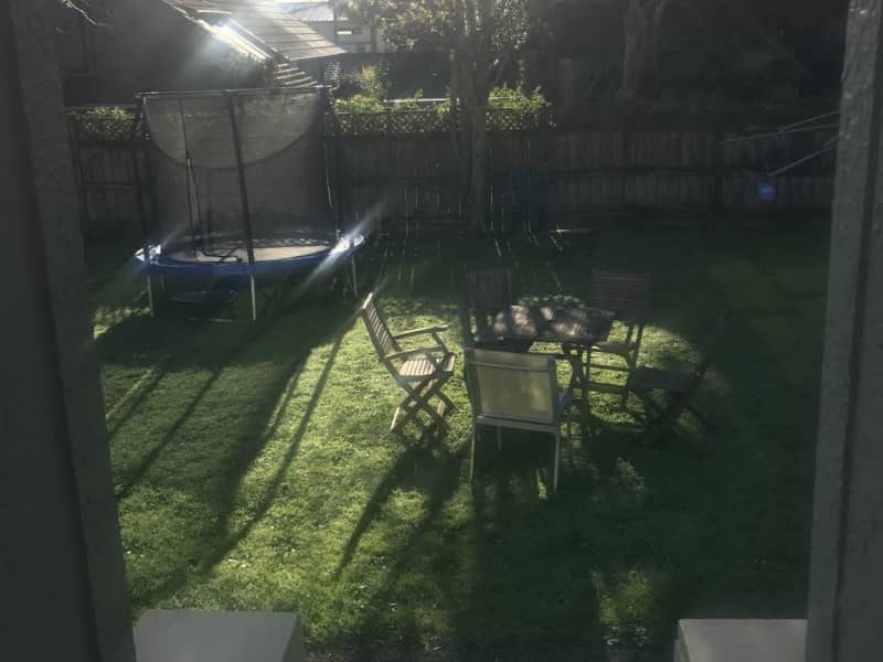 Housesitting assignment in Takapuna, New Zealand