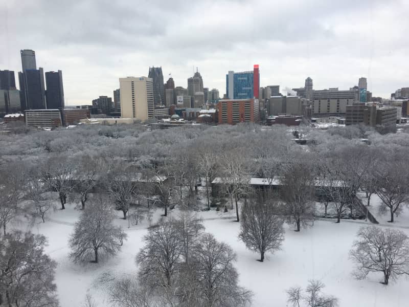 Housesitting assignment in Detroit, Michigan, United States