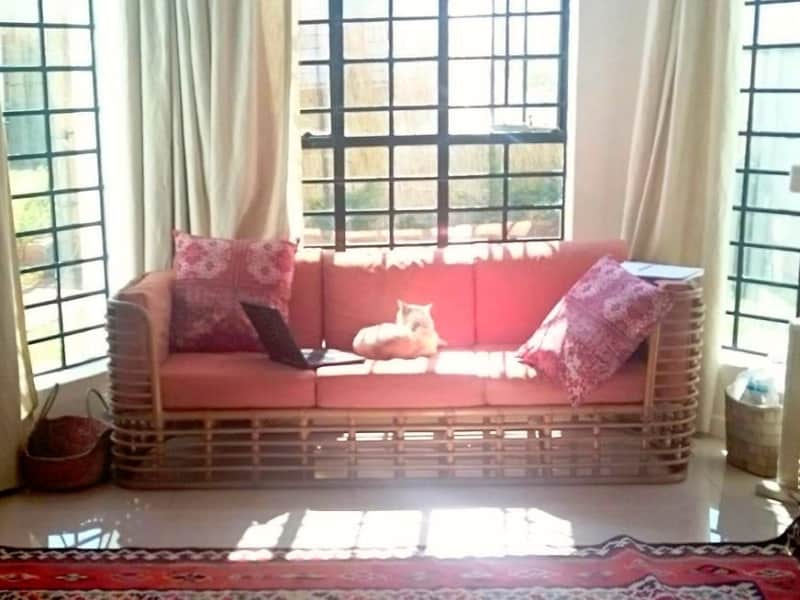 Housesitting assignment in Lilongwe, Malawi