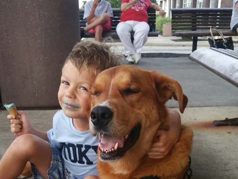 Housesitting assignment in Shaker Heights, Ohio, United States