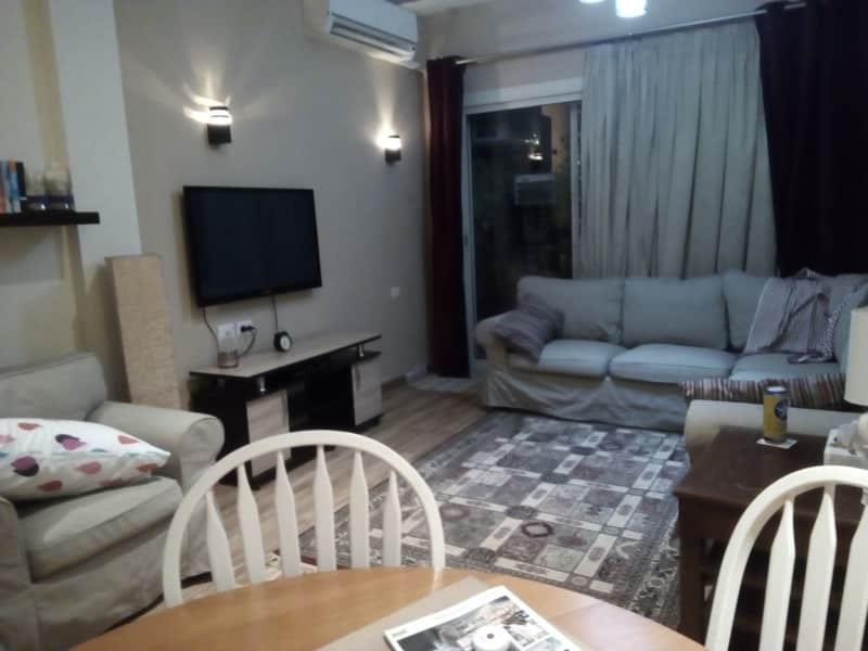 Housesitting assignment in Cairo, Egypt