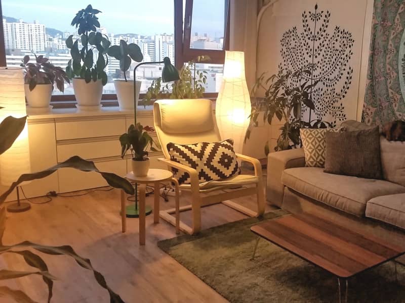 Housesitting assignment in Pyeongchon, South Korea