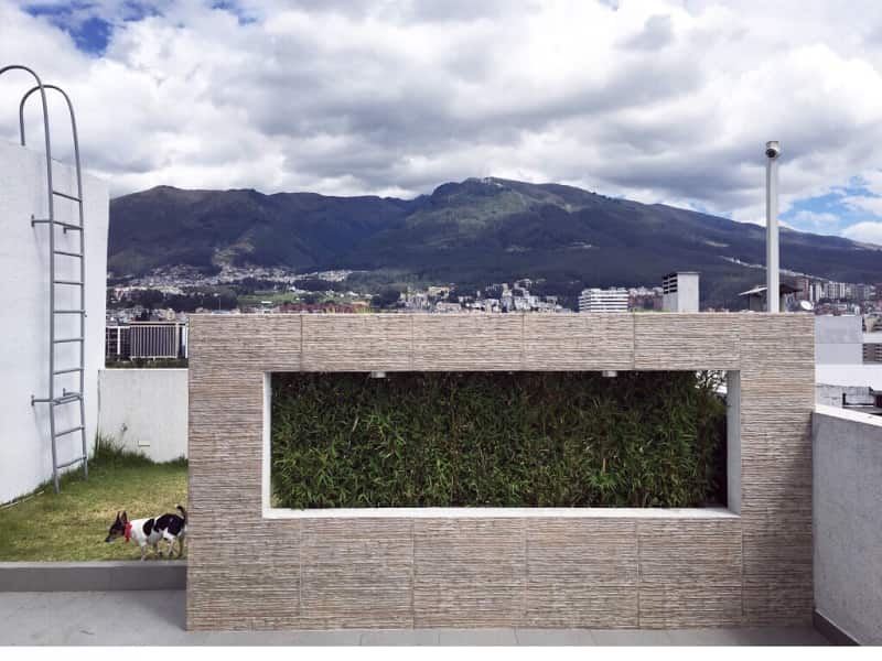 Housesitting assignment in Quito, Ecuador
