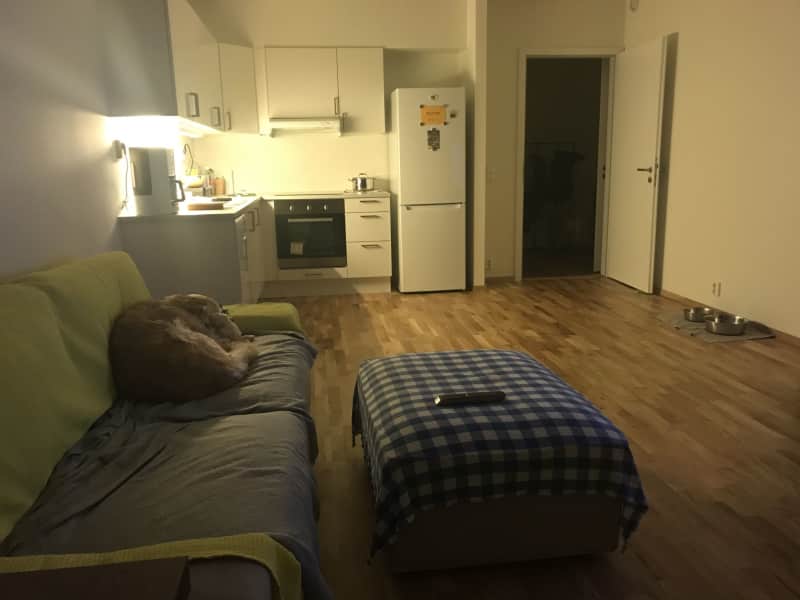 Housesitting assignment in Strømmen, Norway