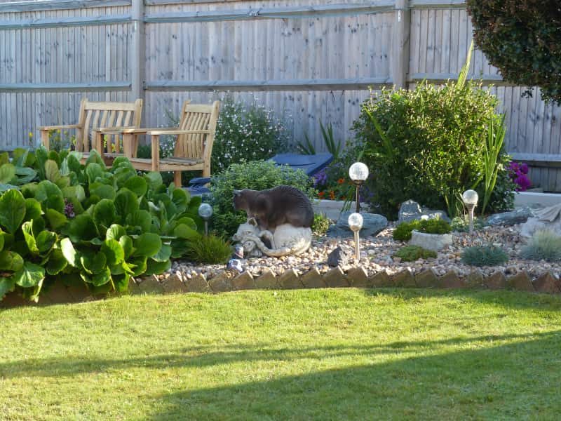 Housesitting assignment in Seaford, United Kingdom