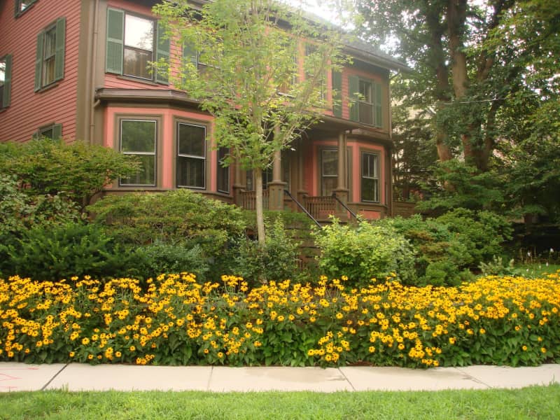 Housesitting assignment in Huron Village, Massachusetts, United States