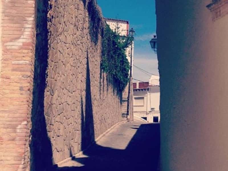 Housesitting assignment in Oliva, Spain