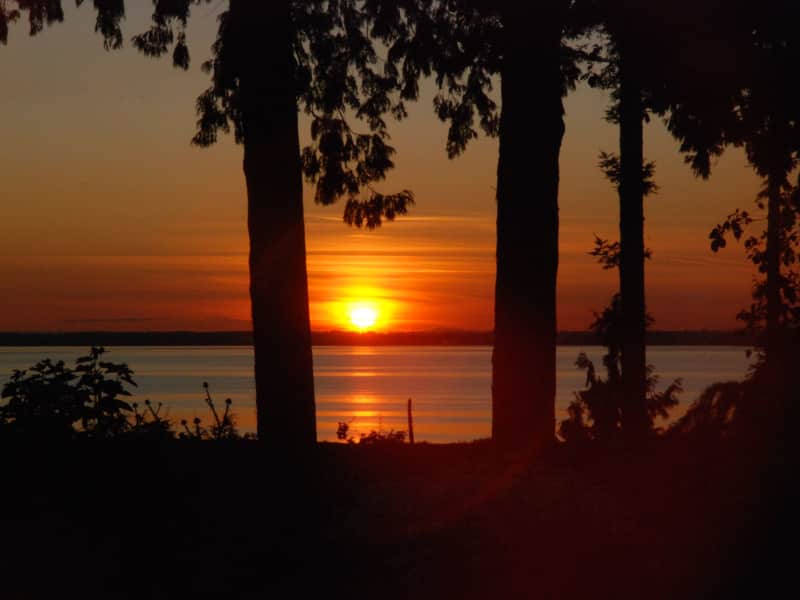 Housesitting assignment in South Surrey, British Columbia, Canada