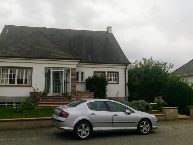Housesitting assignment in Lingolsheim, France
