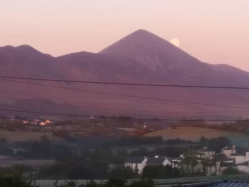 Housesitting assignment in Westport, Ireland