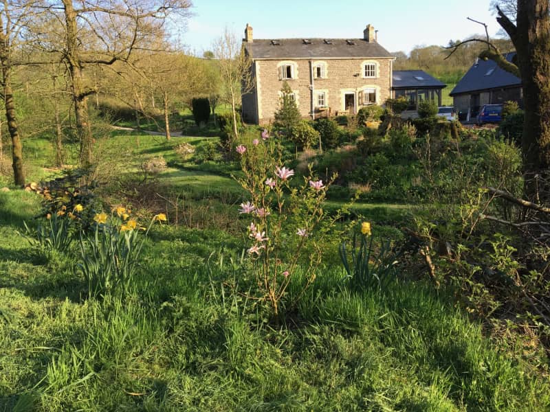Housesitting assignment in Dolau, United Kingdom