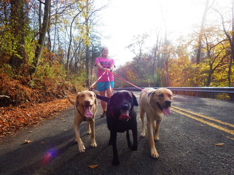 Nicole & Kali from Philadelphia, Pennsylvania, United States