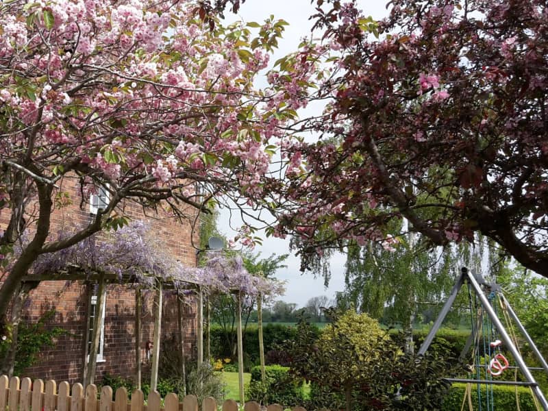 Housesitting assignment in Lymm, United Kingdom
