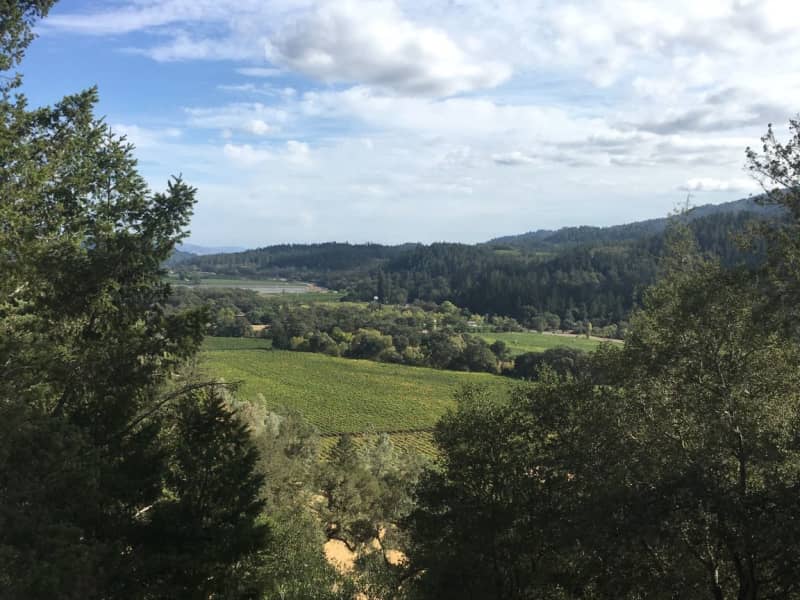 Housesitting assignment in Healdsburg, California, United States