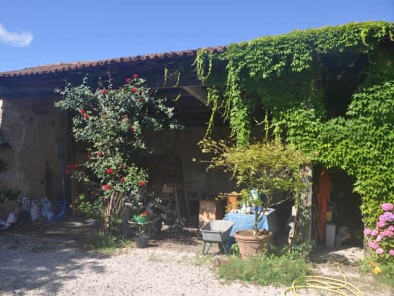 Housesitting assignment in Toulouse, France
