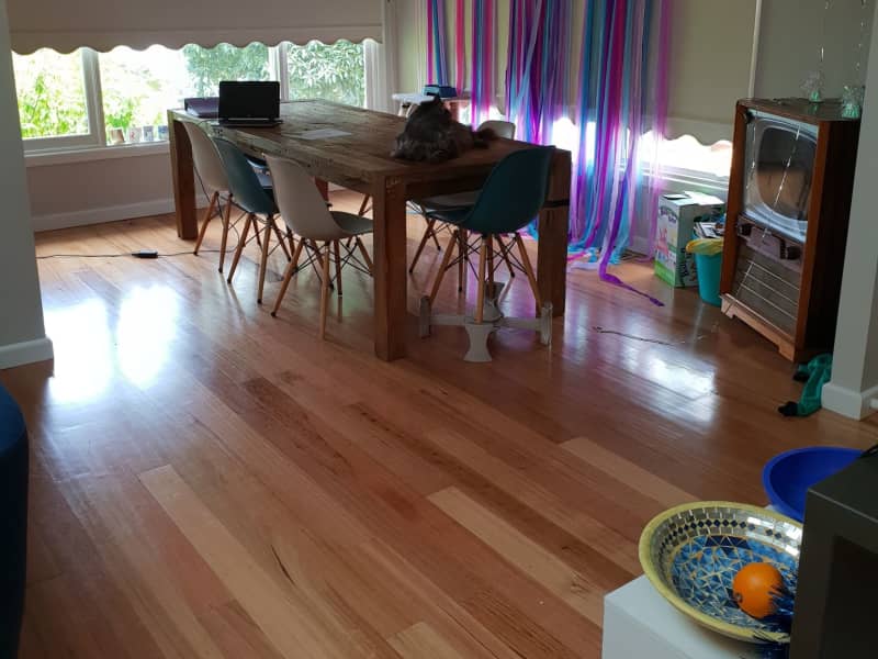 Housesitting assignment in Ringwood East, Victoria, Australia