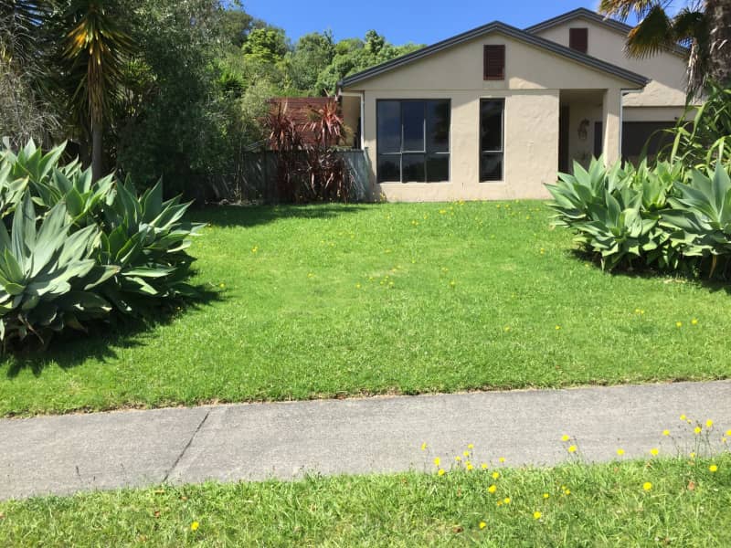 Housesitting assignment in Tauranga, New Zealand