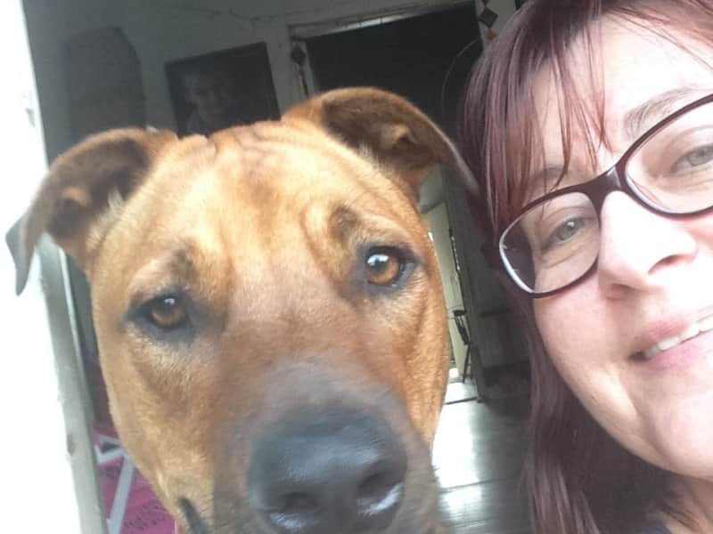Peta & Rod from Towers Hill, Queensland, Australia