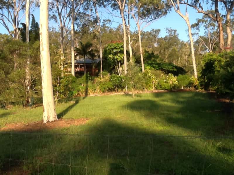 Housesitting assignment in West Stowe, Queensland, Australia