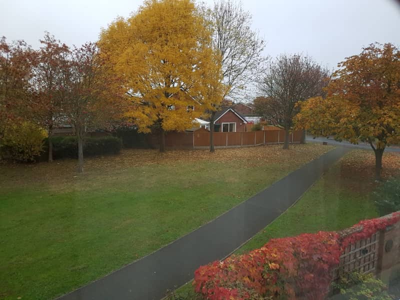 Housesitting assignment in Rossett, United Kingdom