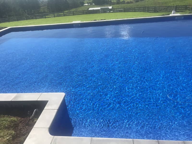 Housesitting assignment in Dairy Flat, New Zealand