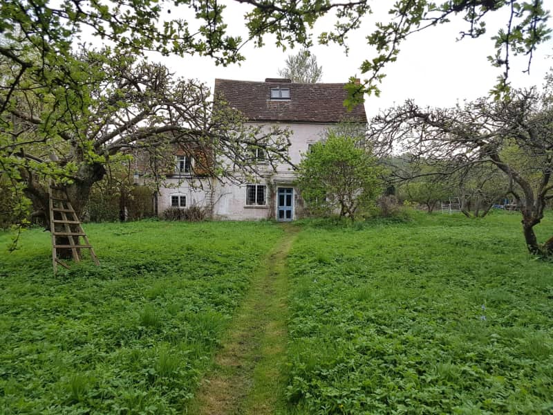 Housesitting assignment in Guildford, United Kingdom