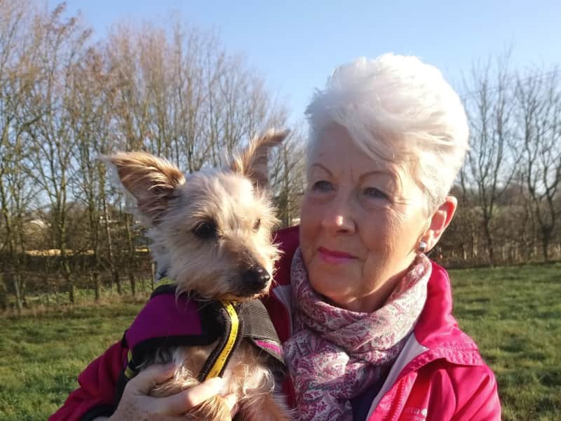 Housesitting assignment in Stockbridge, United Kingdom