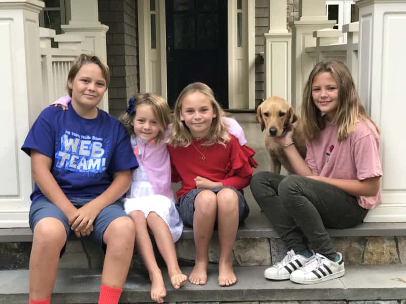 Housesitting assignment in Mill Valley, California, United States