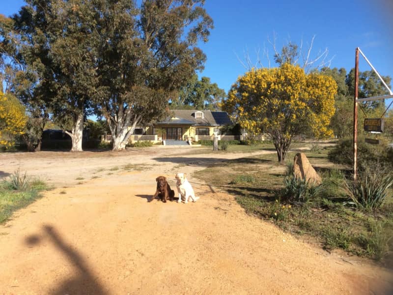 Housesitting assignment in Korrelocking, Western Australia, Australia