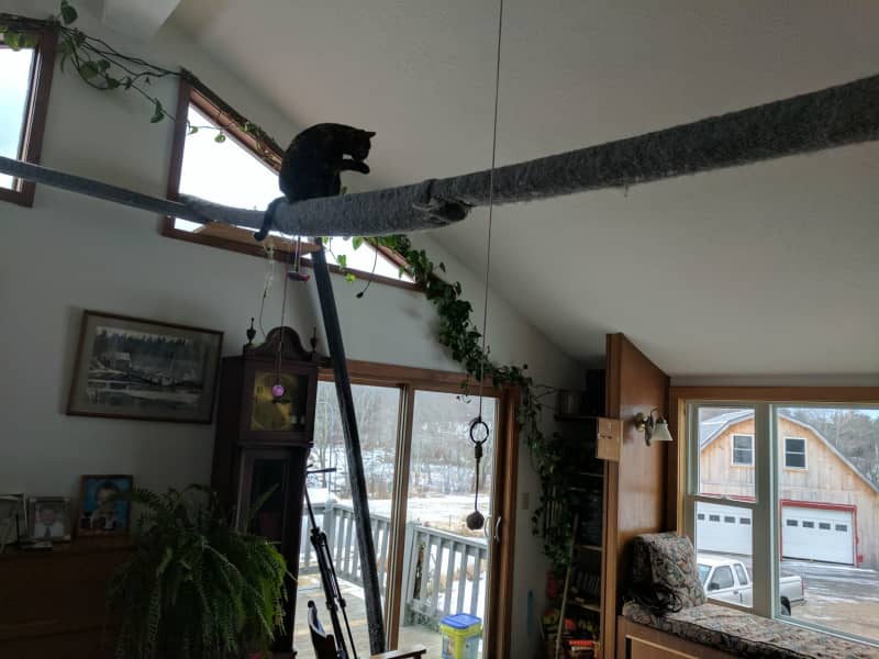 Housesitting assignment in Loudon, New Hampshire, United States