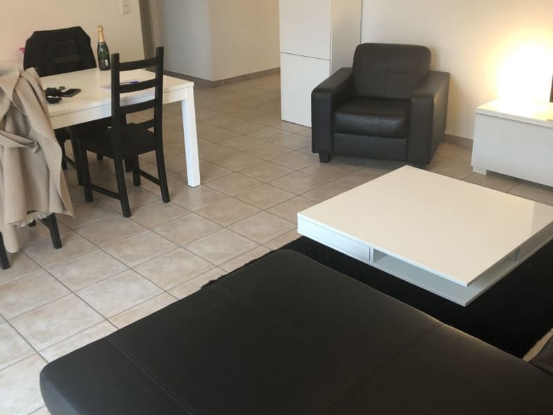 Housesitting assignment in Luxembourg, Luxembourg