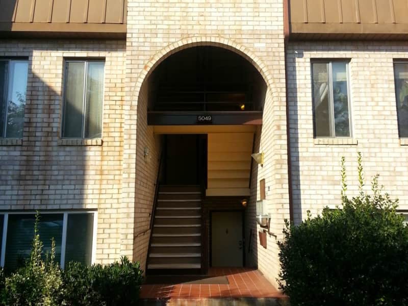 Housesitting assignment in Arlington, Virginia, United States
