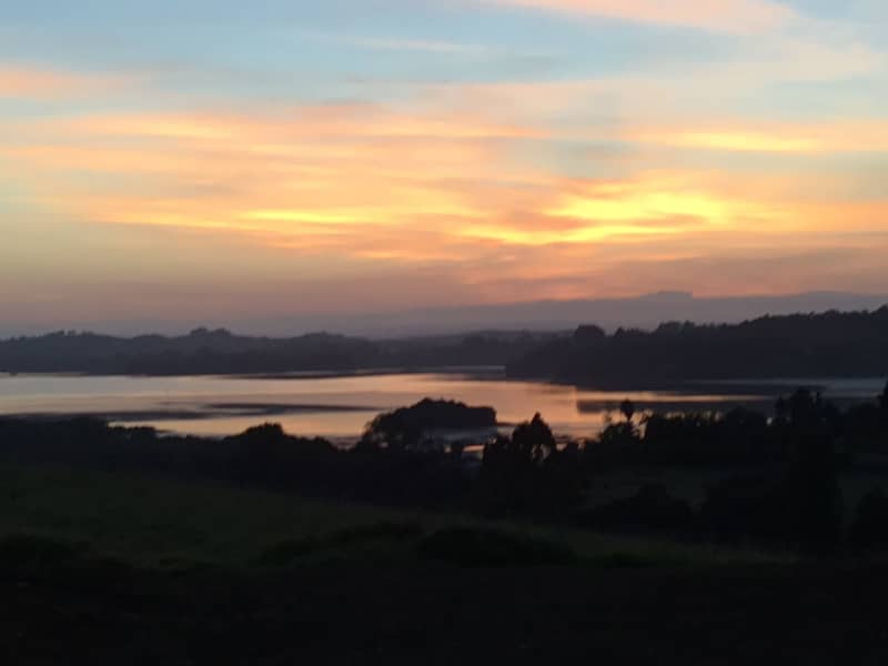 Housesitting assignment in Kerikeri, New Zealand