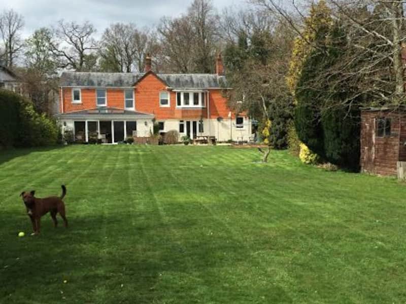 Housesitting assignment in Newbury, United Kingdom
