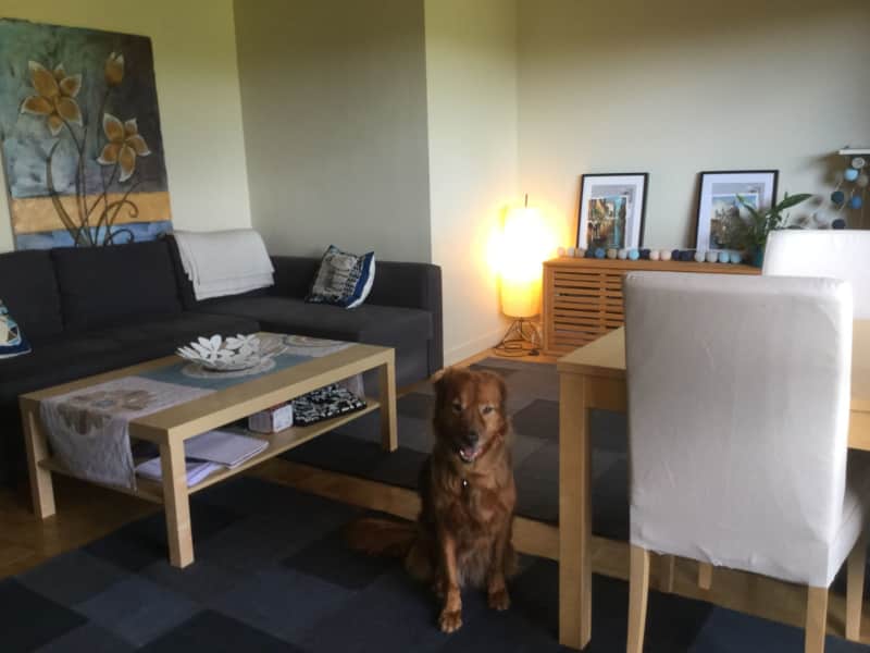 Housesitting assignment in Ferney-Voltaire, France