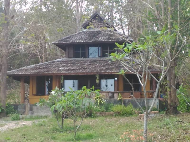 Housesitting assignment in Chiang Mai, Thailand